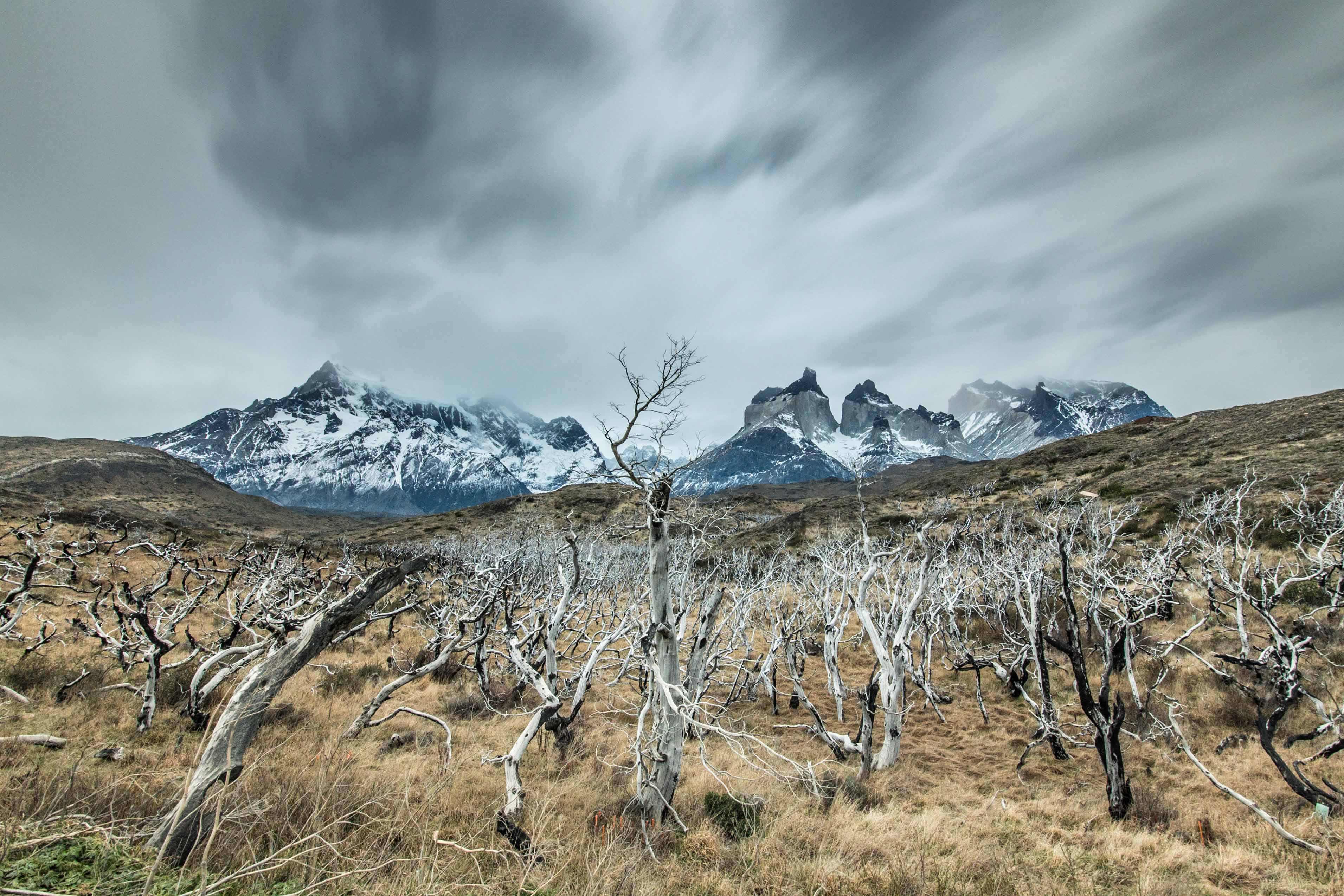 Los Incendios de 2005 y 2011 en el Parque Nacional Torres del Paine